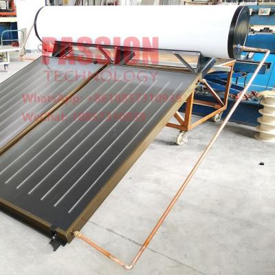 Cina Stagno che riscalda il collettore solare di Heater Flat Panel Solar Thermal dell'acqua della lamina piana 150L in vendita