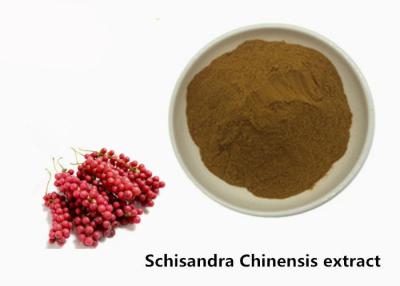 China Pflanzenauszug-Pulver Hepatoprotective 5,2% Schisandra chinensis zu verkaufen