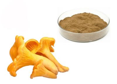 China 30% Polysaccharide Chantarelle-Pilz-Auszug-Pulver zu verkaufen