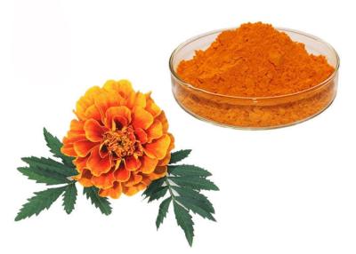 China Natural Pigment Xanthophyll Marigold Flower Herbal Extract Powder for sale