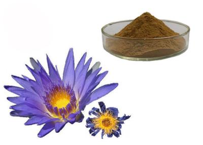 China Nymphaea Caerulea Flower Powder Blue Lotus Organic Herbal Extracts for sale