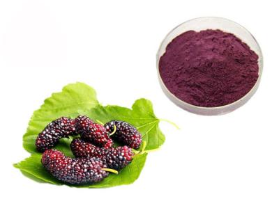 China Anthocyanin Fruit Mulberry Herbal Extract Powder For Food Additives for sale