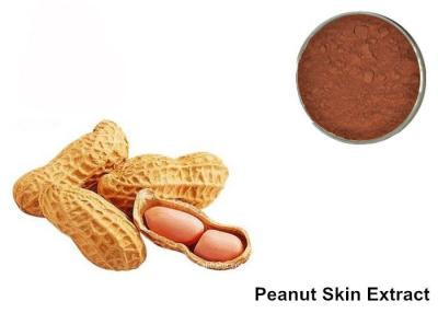 China 95% Proanthocyanidins Peanut Skin Anthocyanin Extract Powder for sale