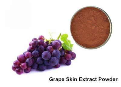 China 25% Anthocyanins Pure Grapeseed / Grape Skin Extract Powder for sale