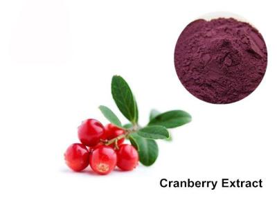 China Cranberry Fruit Purple Red 25% Anthocyanin Extract Powder for sale