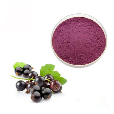 Chine Poudre concentrée d'extrait d'anthocyanine du cassis 10% de jus à vendre