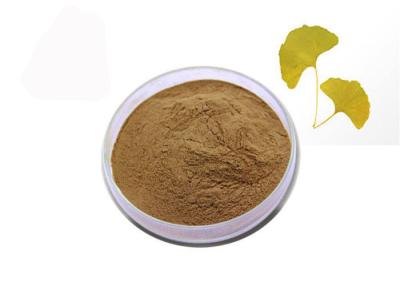 Chine Poudre naturelle pure d'extrait de Ginkgo Biloba de lactones des flavones 6% de 24% à vendre