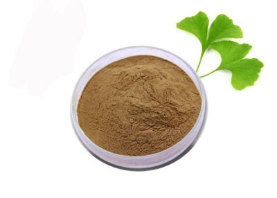 Chine Poudre pure d'extrait de Ginkgo Biloba d'anti oxydant de catégorie médicale à vendre