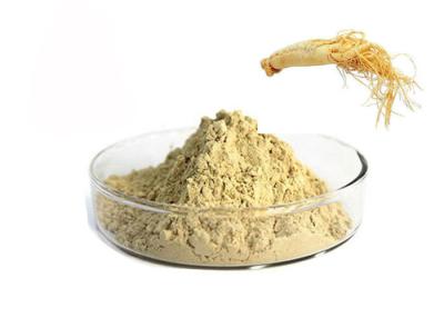 Chine Poudre de fines herbes pure de racine de ginseng de CAS 90045-38-8 80% Ginsenosides à vendre