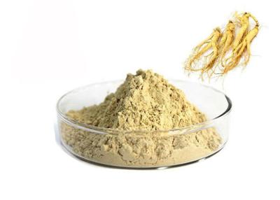 China Farmaceutisch van de de Wortel Natuurlijk Ginseng van 80% Panax het Uittrekselpoeder Te koop