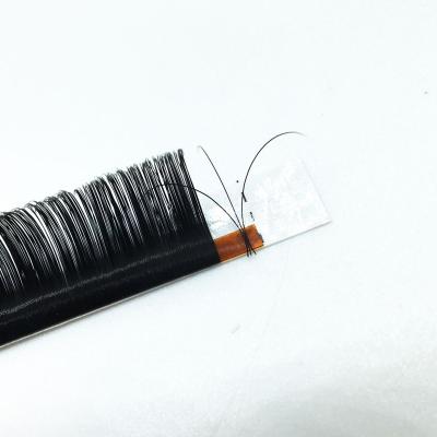 China Wholesale Cheap Natural Long 0.03 Mega Volume Silk Lashes Extensions Lashes Super Soft C D L Curl Super Dark Matte Black .03 .05 .07 for sale