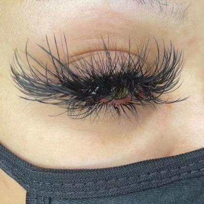 China Long Matte Dark Black Classic Natural 0.20 C D Eyelash Extensions Supplies Korean Fiber 0.15 L Lash Extensions Individual PBT Mink Strip for sale