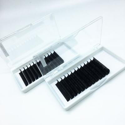 China Natural Korean Volume Lash Loose Roots Mink Customized 16 Rows Faux Long Matte Black Light Natural Super Soft PBT Lash Extension for sale