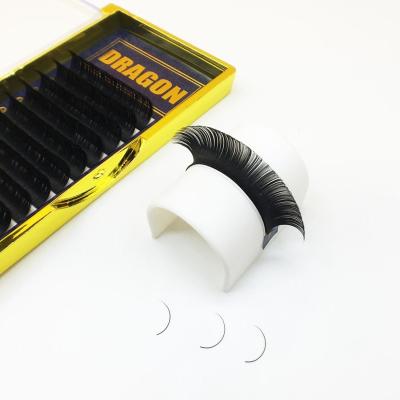 China Long Dragon Lash Vendor Wholesale Natural Dark 0.20 Classic Eyelash Extensions Supplies PBT Korean Handmade Mink Lash Trays Private Label Soft for sale