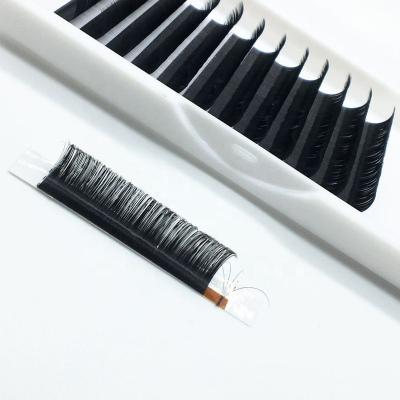 China Free Sample Natural Korean Pbt Korean Easy Fan Cashmere Long Matt Black Mega Volume Premium Eyelash Extensions Lashes Extensions With Since C cc D DD Loop for sale