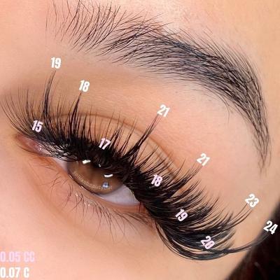 China Long Dragon Lash Eyelash-Extension-Wholesale Natural Velvet Mink .10 .15 Classic Lash Extensions for sale