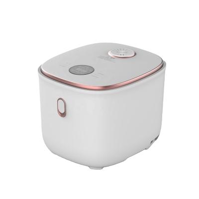 China 2022 Car Electric Rice Cooker 1.2/1.6/2/3L Low Sugar Rice Cooker Sold Well Japan, Korea and Europe for sale