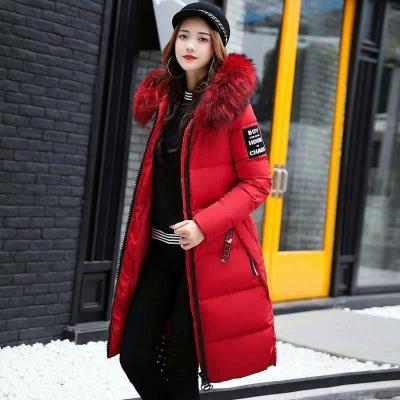 China Waterproof 2020 Women Fashion Bubble Stripper Duck Down Jacket Winter Waterproof Windproof Jacket for sale