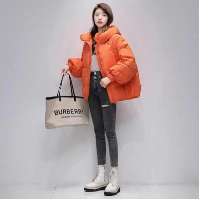 China Anti Wrinkle In Winter Running Streetwear Waist Windproof Waterproof Hooded Warmer Women Down Coats for sale