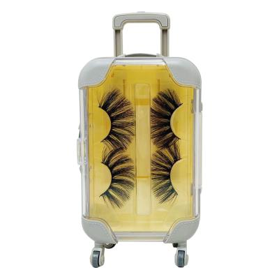 China Natural Wholesale Hot Sale Item 2 Pairs / Cases In Suitcase 25mm Length Mink Lashes Packaging for sale