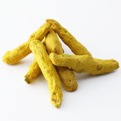 China NEW Dry Turmeric Finger 2020 Manufacturer CULTURE for sale