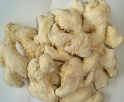 China Dry Chinese Dried Dehydrated Spicy Ginger for sale