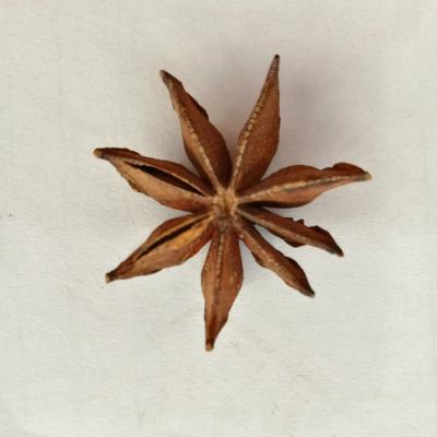 China High quality and cheap anise gold dry porcelain from star price supplier for sale