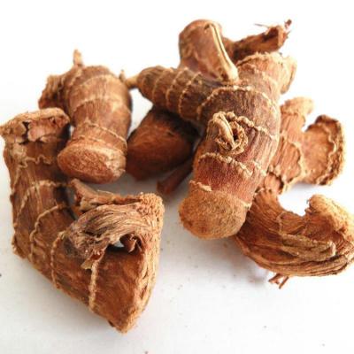 China 2019 Best Selling Chinese Dried Galangal Root for sale