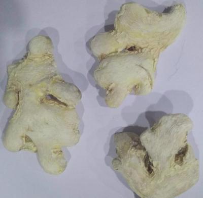 China Chinese Non-Sulfer Dried Natural Health Dried Ginger for sale