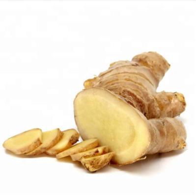 China 2020 fresh fresh spicy ginger 80g 100g 150g 200g 250g for sale