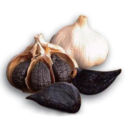 China Shandong Fresh Chinese Ferment Black Garlic for sale