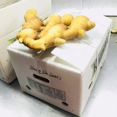 China Raw Material Organic Natural Organic Food Fresh Dried Green Sliced ​​Sliced ​​Ginger for sale