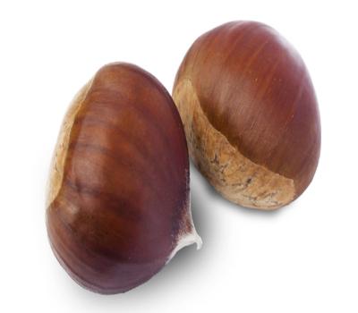 China Fresh Chinese Fresh Raw Sweet Edible Chestnut in Shell for sale