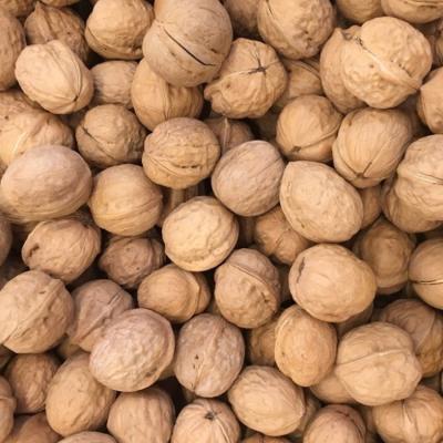 China Shell Kernels Original Place Chinese Dry High Quality Whole Walnut for sale