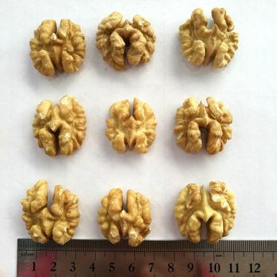 China Benefits High Quality Dried Light Supplier Walnut Half Kernel for sale