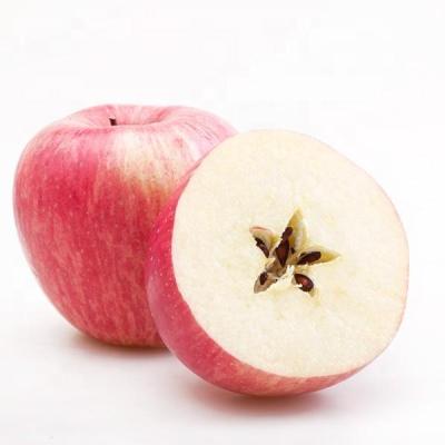 China Fresh Delicious Fruit Chinese Red Fuji Apple Exporter In China for sale