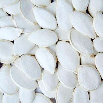 China 11cm Grade Snow Dry White Pumpkin Seeds--13cm 2020 Crop for sale