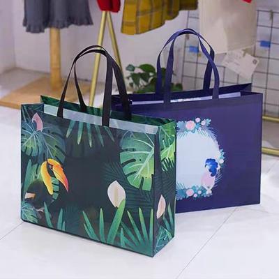 China Promotional Waterproof Private Label Polypropylene Polyester Sublimation Wine Tote Bag Eco - Friendly for sale