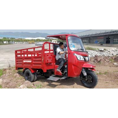 China King Motor Cabin Cargo 300cc 5 Wheel Mountain Tricycle For Sale for sale