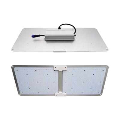 China Seed Starting Gerylove High Performance Factory For Growing Light 240w 3500k SANAN With 660nm Panel Led Growing Light for sale