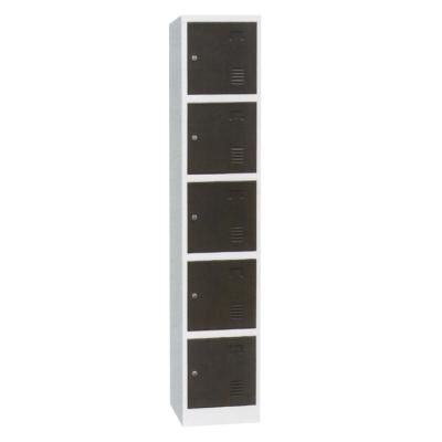 China Modern Attractive Steel Cabinet Two Locker Double Locker For Cabinet 5 Door Steel Locker for sale