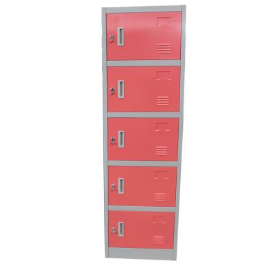 China Modern Attractive High Quality Luoyang Gymnasium Cold Rolled Steel Locker 2 Door Staff Steel Locker for sale