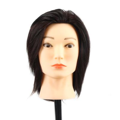 China Cosmetology Manikin Heads 100% Male Training Head Afro Hair Mannequin Head Hairdresser Cosmetology Manikin Doll Styling Head for sale