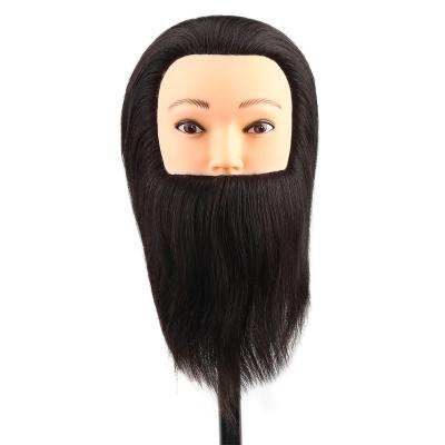 China Cosmetology Mannequin Heads Male Head Training High Quality Male Hair Training Mannequin Male Hair Training Head Mannequin for sale