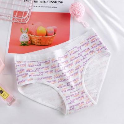 China Antibacterial Hot Women's Cotton Panties Girl Briefs Soft Flamingo Printed Panties Underwear Medium Waist Panties for sale