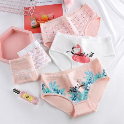 China Antibacterial Hot Women's Cotton Panties Girl Briefs Soft Flamingo Printed Panties Underwear Medium Waist Panties for sale