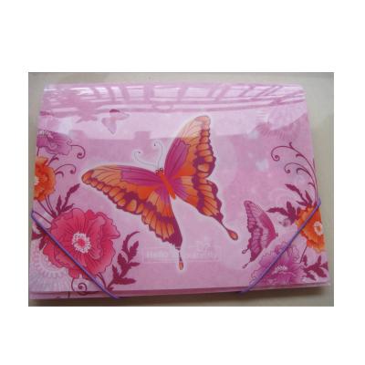 China A4 Size Types Of PP Plastic File Folder Covers Box for sale