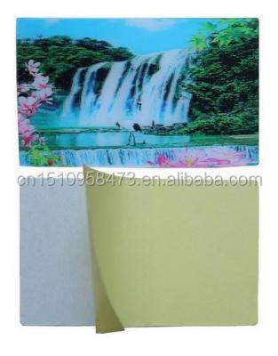 China paper & 2017 Best Selling 3d Lenticular Cardboard Poster , A1 A2 Poster Printing 3D Poster for sale