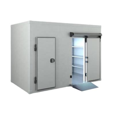 China German Locks On Hinger Swing Door For Cold Room Access In Sustainable Modular Cooling for sale