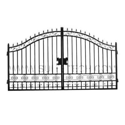 China Modern Galvanized Powder Coated Luxury Wrought Iron Door Designs for sale